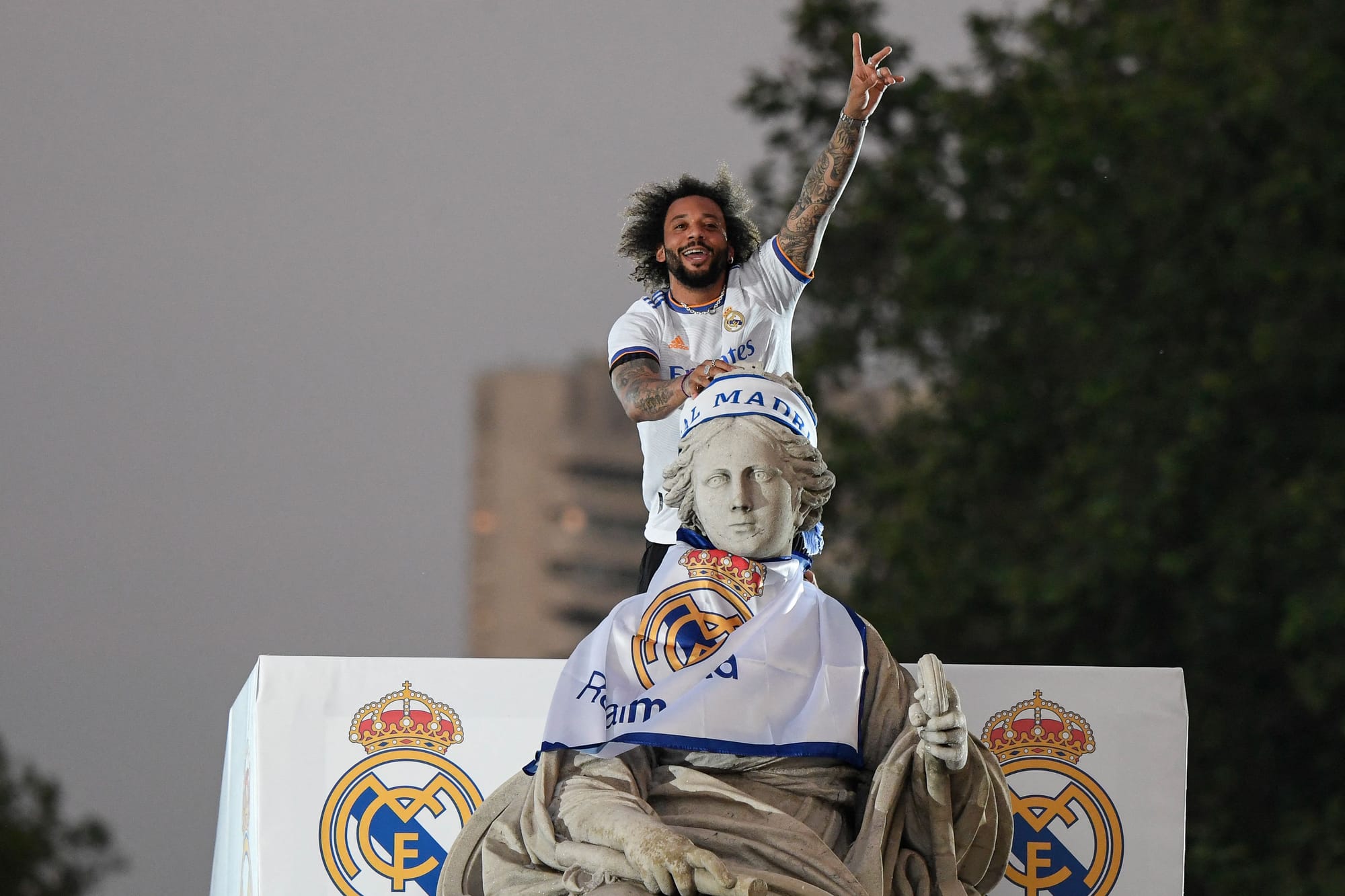 观众提供了 观众提供了